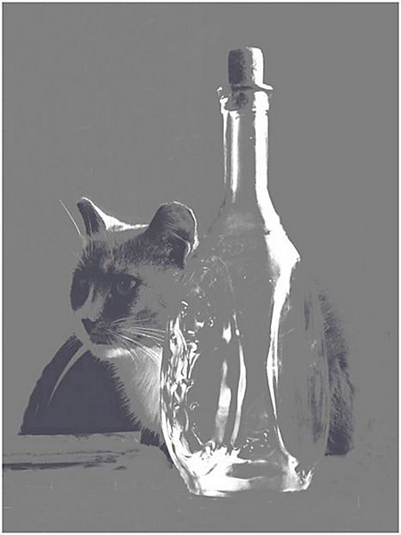 � ������� �������
---------
 (�������� �� �����������, ����� ������� ��� � ������ �����)