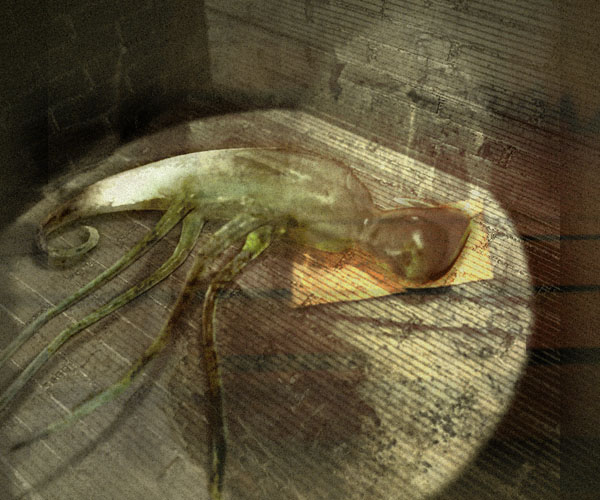 �����������
---------
 (�������� �� �����������, ����� ������� ��� � ������ �����)