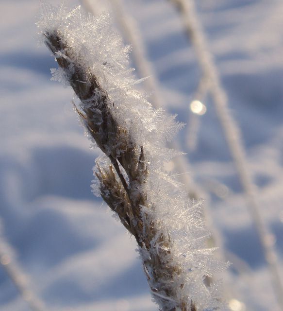 ...
---------
 (  ,      )