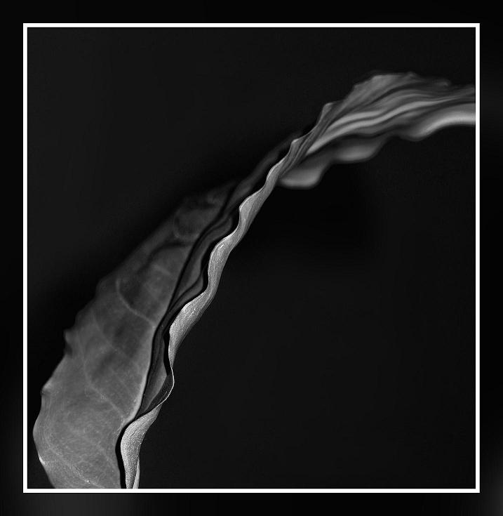 �����..
---------
 (�������� �� �����������, ����� ������� ��� � ������ �����)