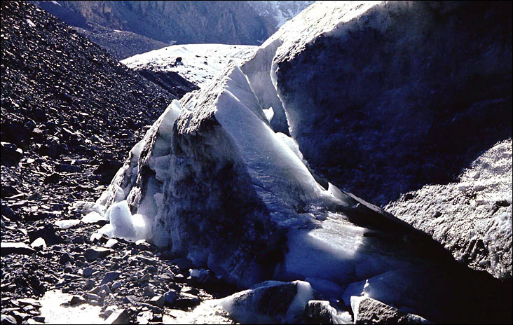 Altai (15) 1980
---------
 (  ,      )