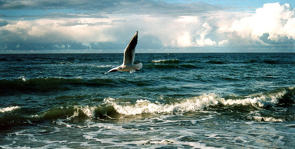 
---------
 (  ,      )