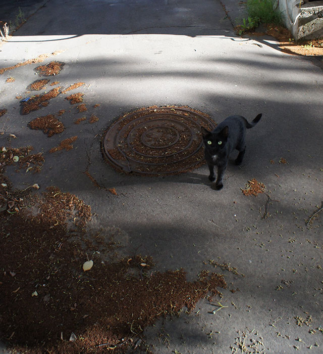 
---------
 (  ,      )