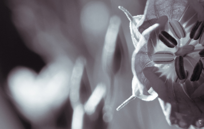 ������, ����� � �����
---------
 (�������� �� �����������, ����� ������� ��� � ������ �����)