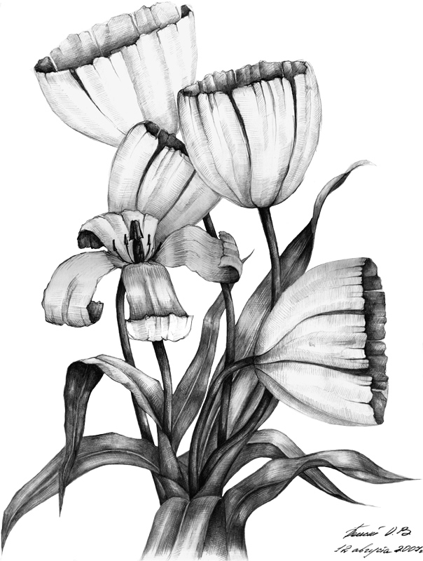   (297420)
---------
 (  ,      )