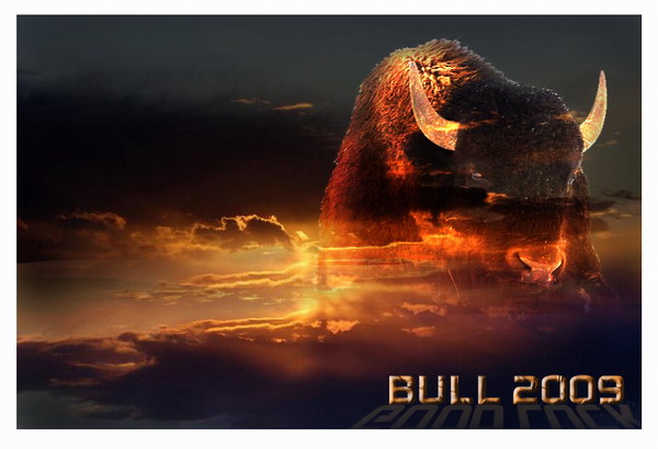 Bull 2009
---------
 (  ,      )