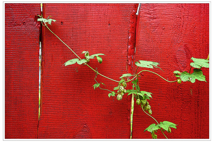 �������� �����
---------
 (�������� �� �����������, ����� ������� ��� � ������ �����)