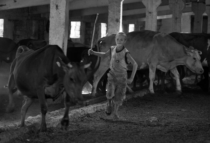  (2)
---------
 (  ,      )