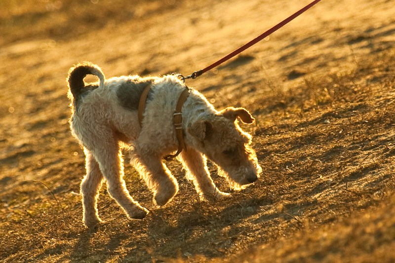  
---------
 (  ,      )