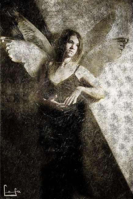 Angel
---------
 (  ,      )