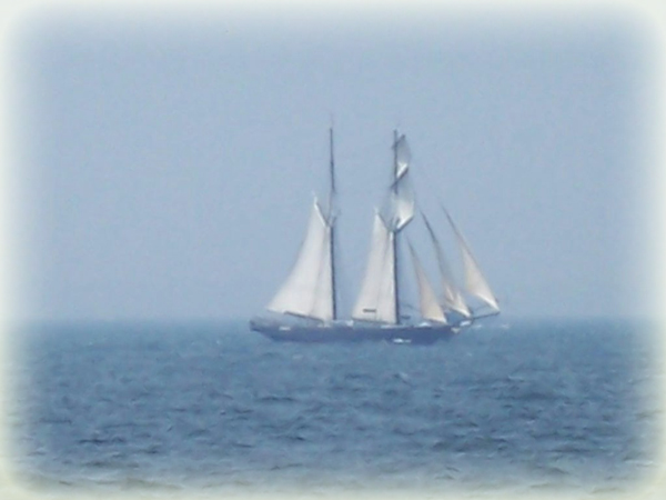 The Sail
---------
 (  ,      )