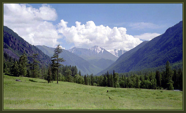 Altai (24) 2000
---------
 (�������� �� �����������, ����� ������� ��� � ������ �����)