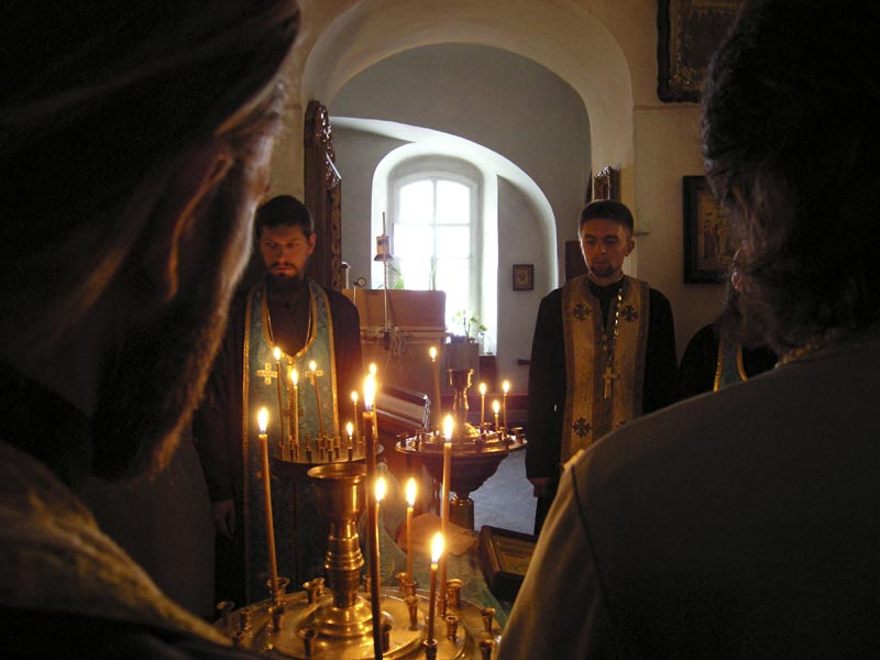 ###
---------
 (  ,      )