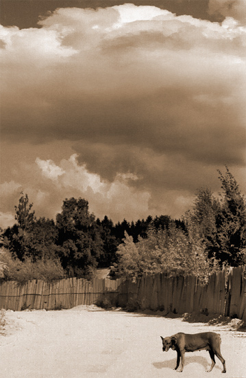   ?...
---------
 (  ,      )