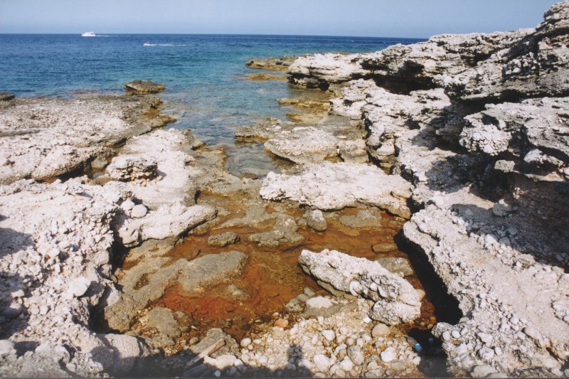  
---------
 (  ,      )