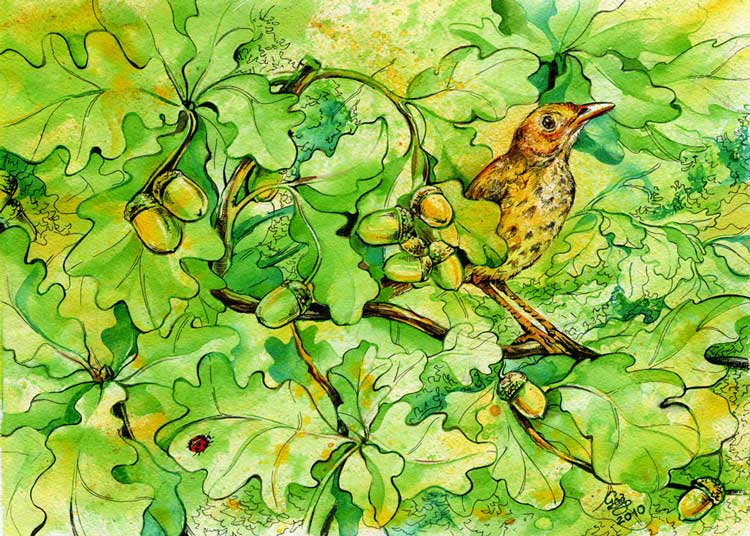   
---------
 (  ,      )