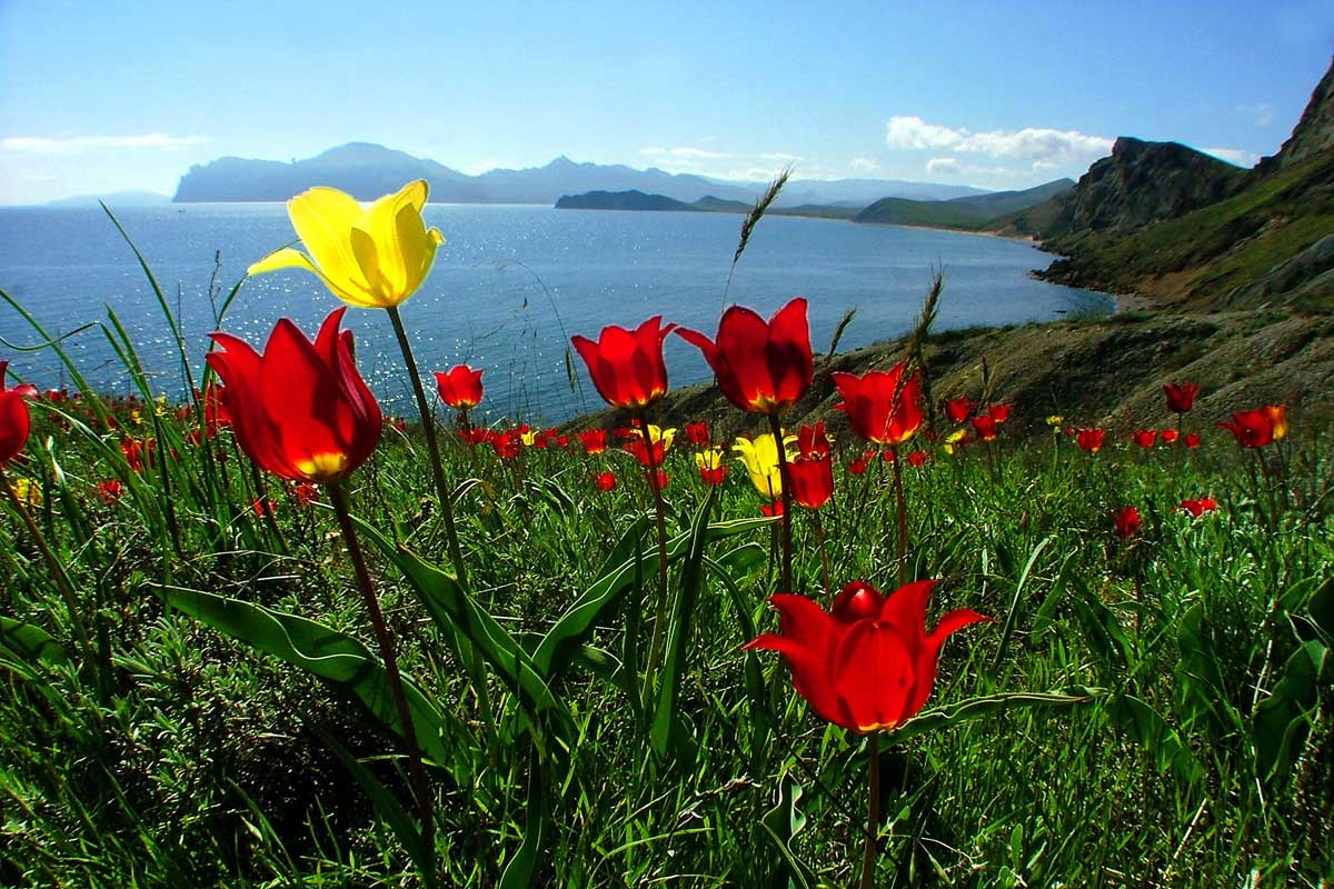 "..., ,  ..."
---------
 (  ,      )