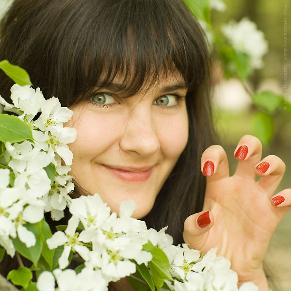 ���� / Tiger
---------
 (�������� �� �����������, ����� ������� ��� � ������ �����)