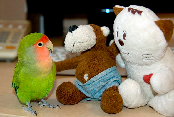  !
---------
 (  ,      )