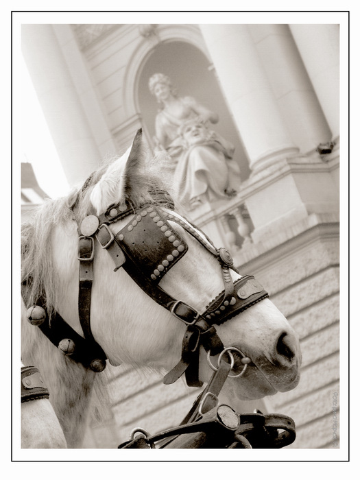 - - -
---------
 (�������� �� �����������, ����� ������� ��� � ������ �����)