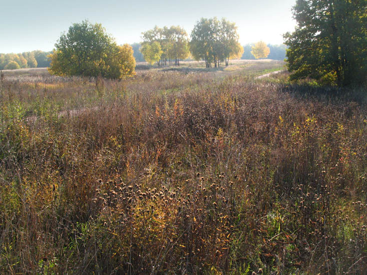   ...
---------
 (  ,      )