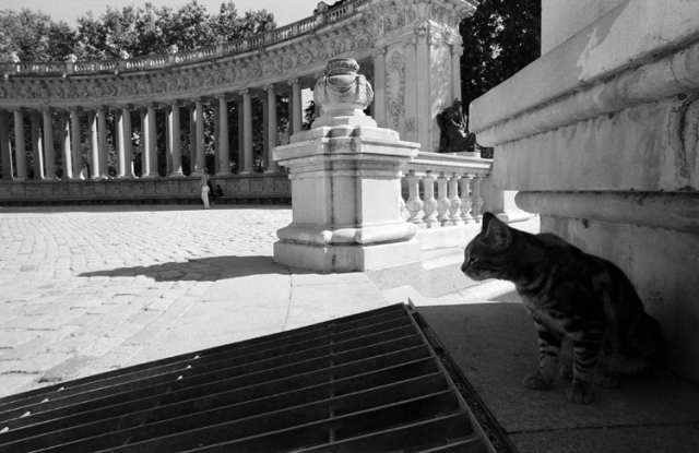 Parque del Retiro
---------
 (  ,      )