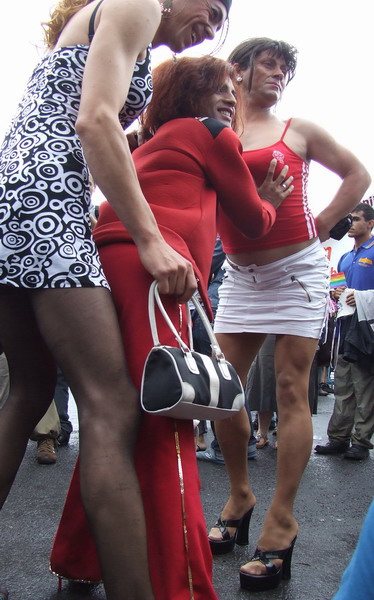 Gay parade
---------
 (  ,      )