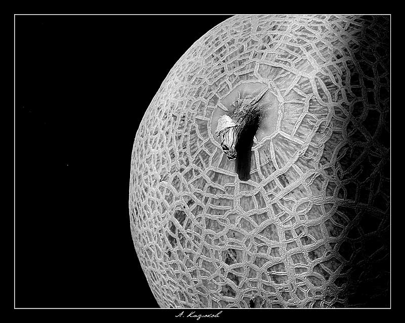 ��������
---------
 (�������� �� �����������, ����� ������� ��� � ������ �����)