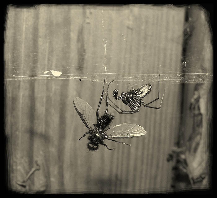  
---------
 (  ,      )