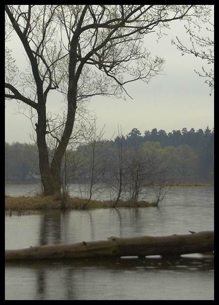 �����
---------
 (�������� �� �����������, ����� ������� ��� � ������ �����)