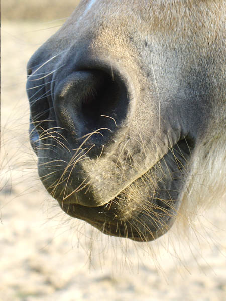 
---------
 (  ,      )