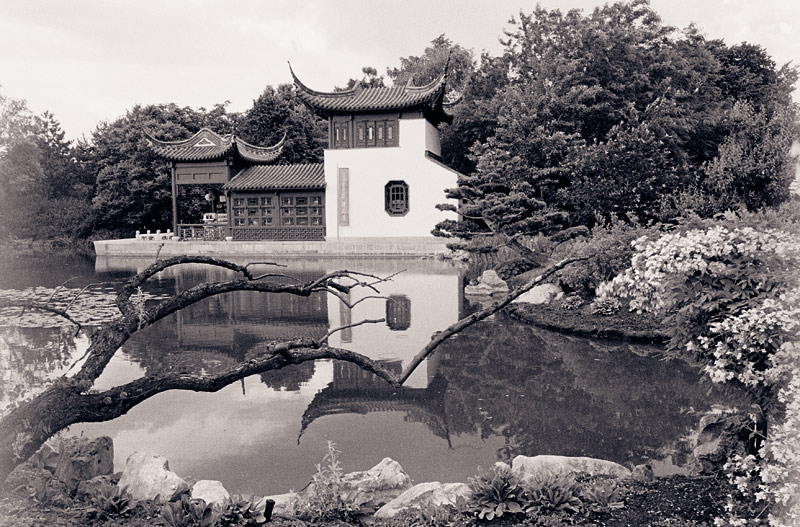 Chinese Garden
---------
 (  ,      )