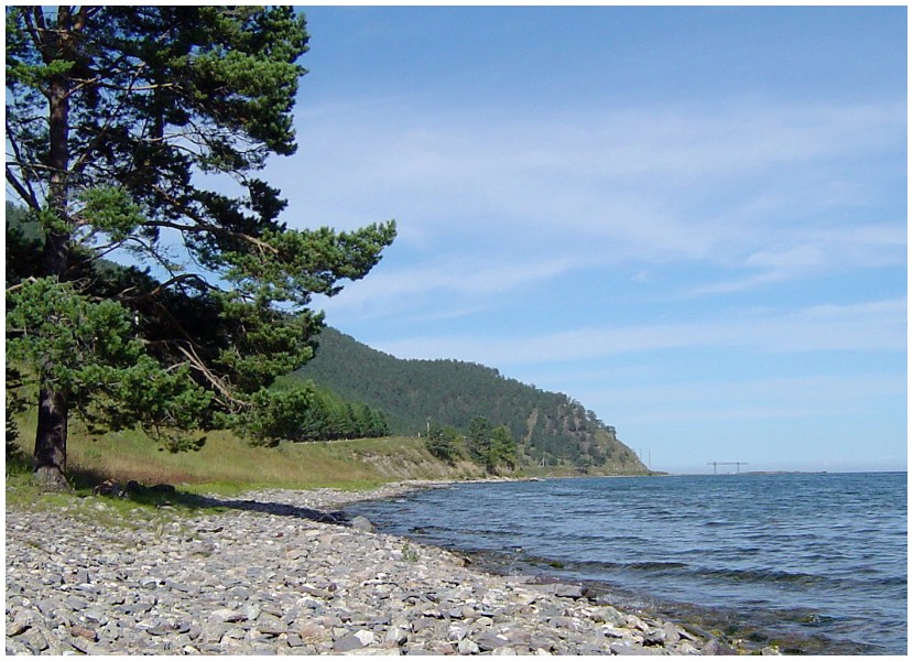 ���������� �����
---------
 (�������� �� �����������, ����� ������� ��� � ������ �����)