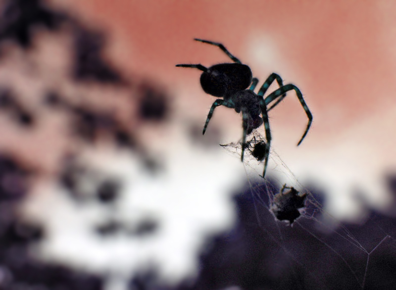  
---------
 (  ,      )