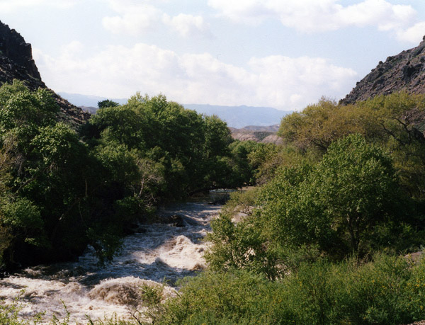  
---------
 (  ,      )