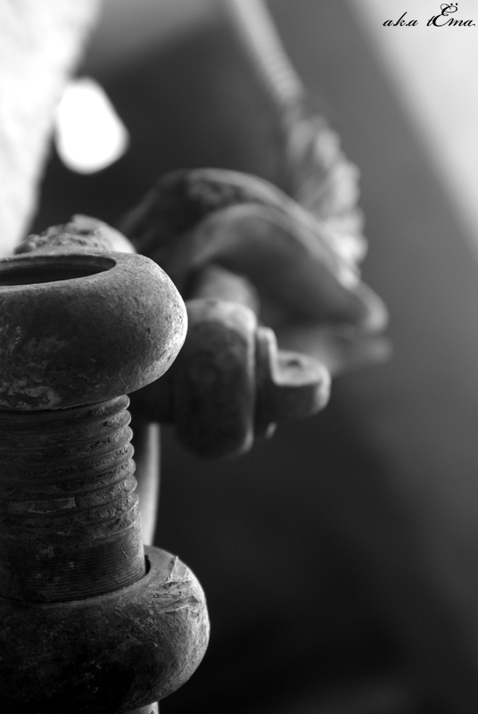 ***
---------
 (  ,      )