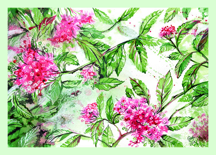 
---------
 (  ,      )