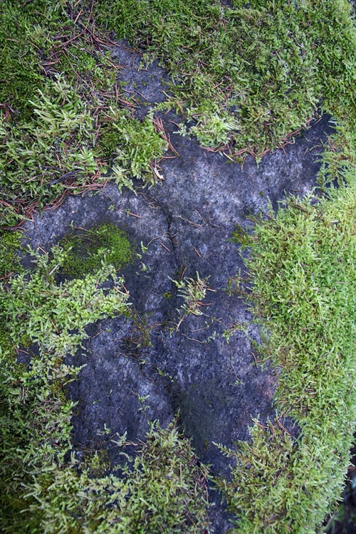 
---------
 (  ,      )