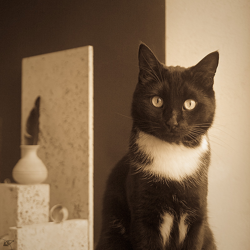 ������� ������� � �������� ���
---------
 (�������� �� �����������, ����� ������� ��� � ������ �����)